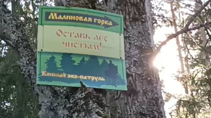 Экотропа__Малиновая горка