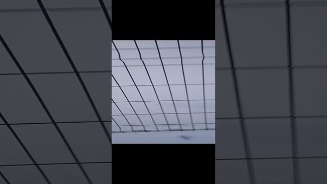 2 сезон 5 серия