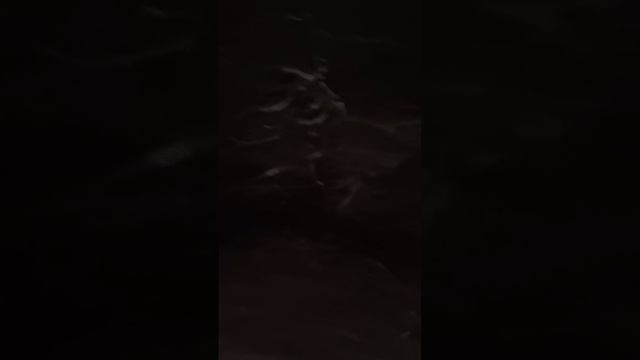Снежная Королевство