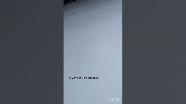 в Ростове-на-Дону первые за год выпал снег. реакция жителей #снег #юг #зима2023