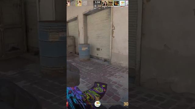Zeus24121504