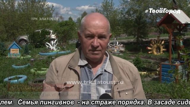 Во двор на ул. Шишкина д.13 пришли пингвины