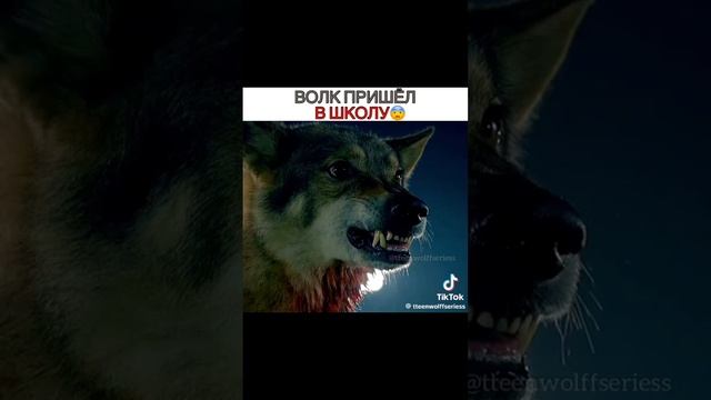 Сериал Волчонок
