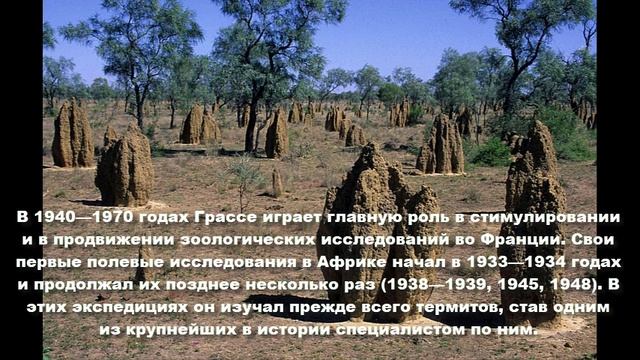 Пьер-Поль Грассе