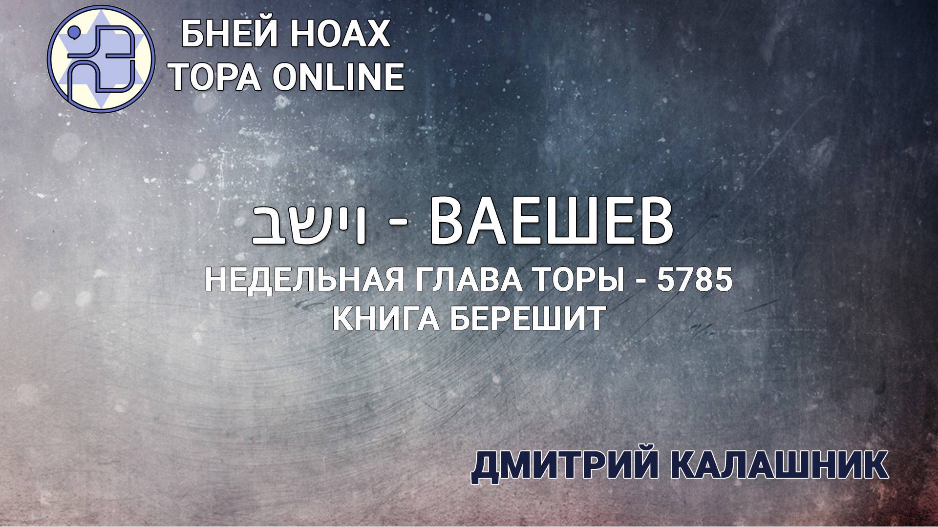 Недельная глава Торы - Парашат а-шавуа - "ВАЕШЕВ" 5785/2024. Дмитрий Калашник