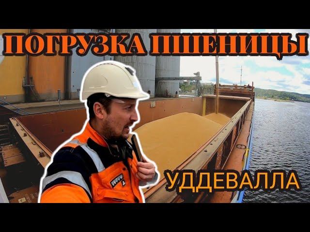 Погрузка пшеницы | УДДЕВАЛЛА | Швеция | Моряк блогер рассказывает о жизни и работе на судне