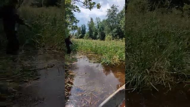 Как очистить водоём от растительности с помощью рук ?) АСМР видео) #shorts