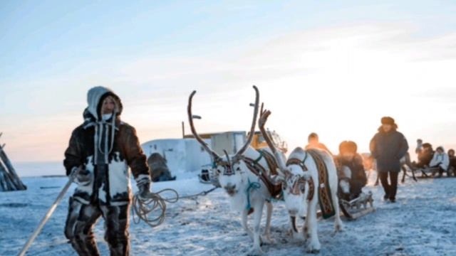 НЕИЗВЕДАННАЯ АРКТИКА - The undiscovered Arctic