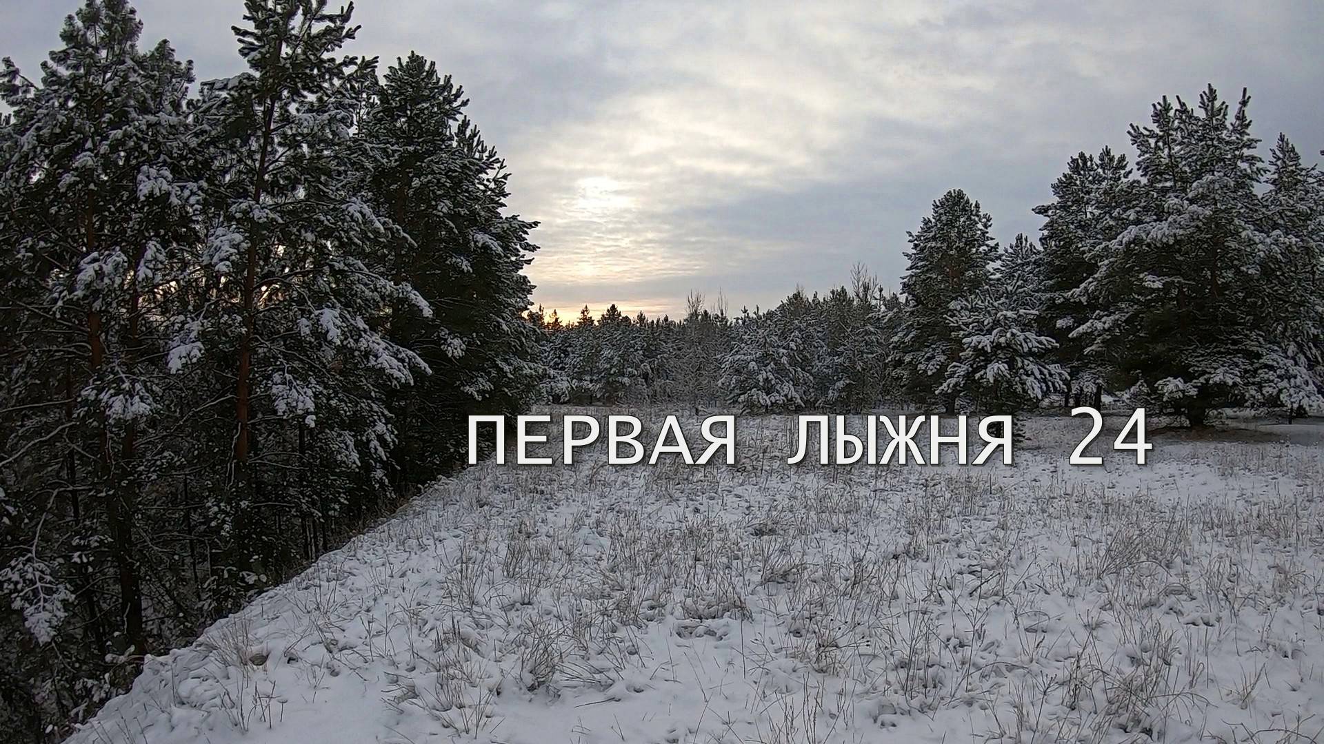 Первая лыжня 24