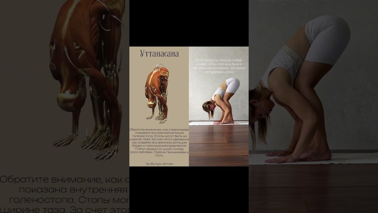 Подробные отстройки Асан в телеграм #yoga #йога #йогаонлайн #yogaeverywhere