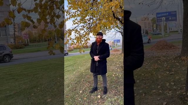 Нравится, не нравится