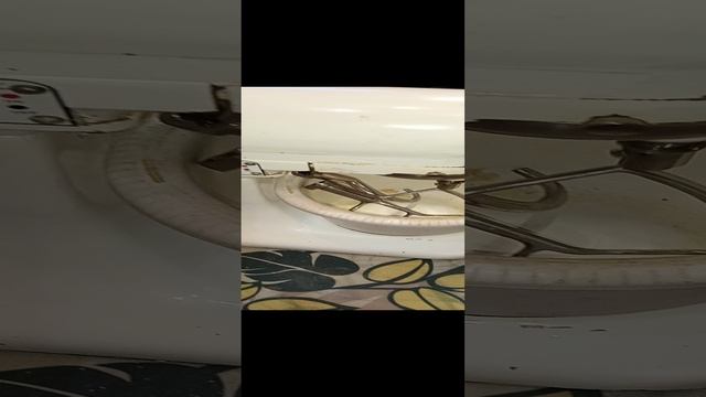 1000095293.mp4