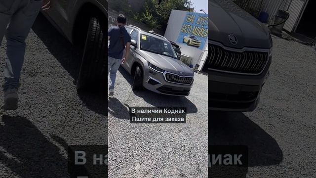 🚗 Шкода Кодиак 2023: Ваш идеальный компаньон на дороге!