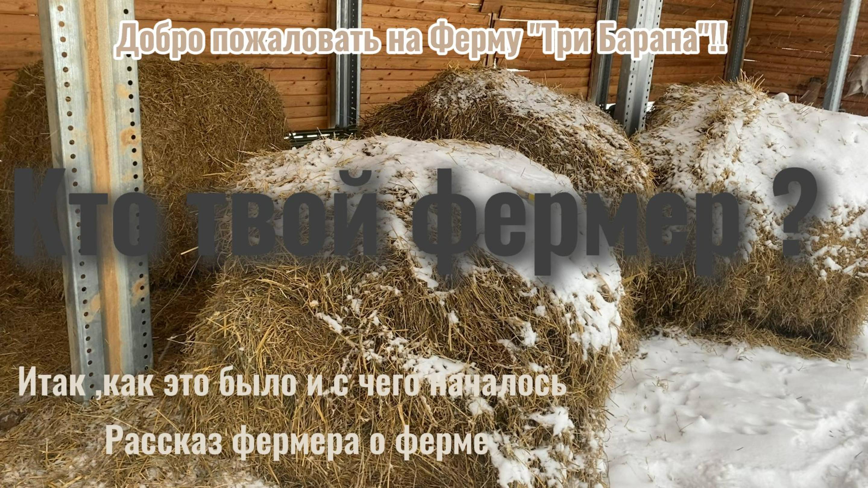 Кто твой фермер?