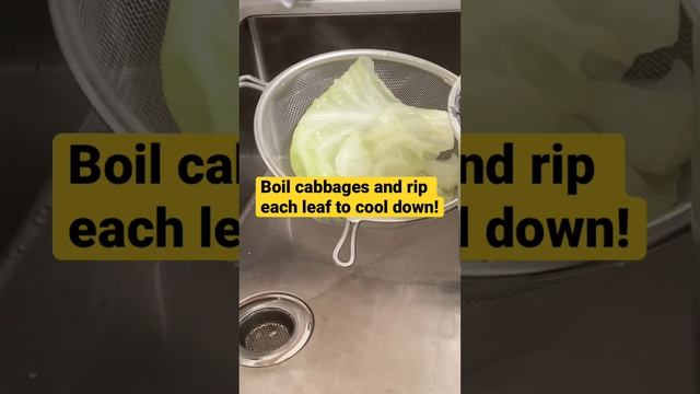 SujiQQ Quinoa Diet Program DAY 7 (1)Quinoa Infinite Grass fed Ground Beef Cabbage Roll! Healthy!