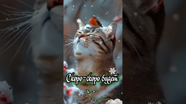 1000014429.mp4