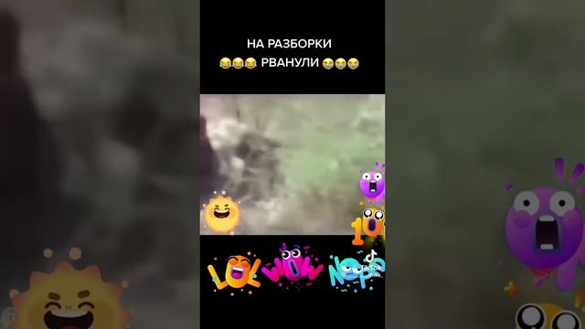 Смехота