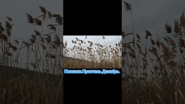 1000067025.mp4