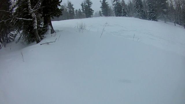 FHD0009