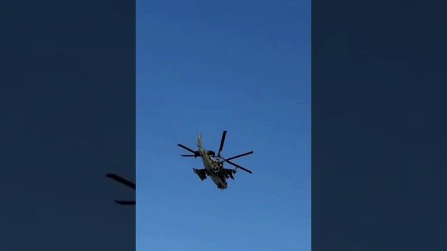 Ка-52 «Аллигатор»