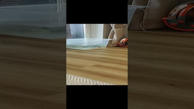 1000028215.mp4