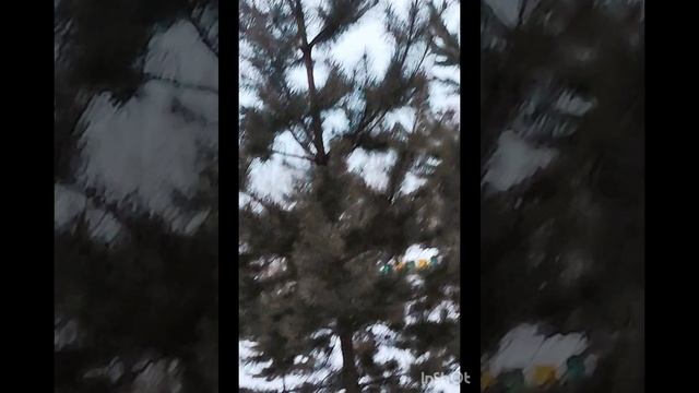 Спортивный влог выходного дня. Идём только вперед! ❄🎄❤