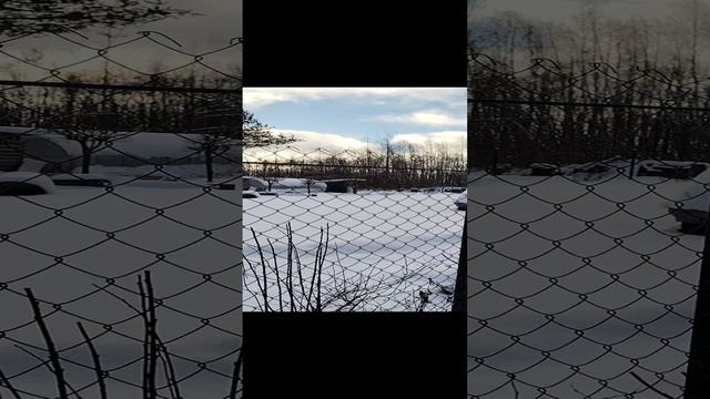 Зимняя дача😊