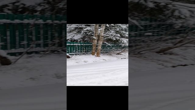 Очистка дороги от снега