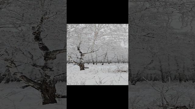 Зима в Омске
