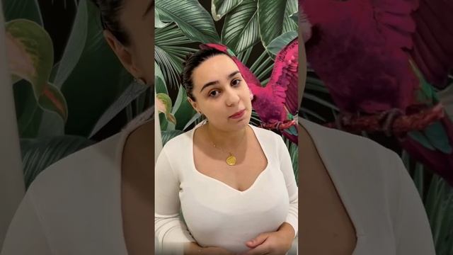 Армянская пословица