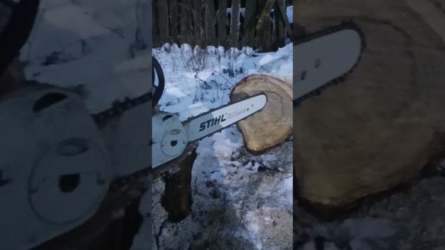 Бензопила Штиль в работе