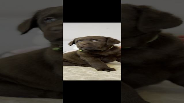 IMG_5103.MOV