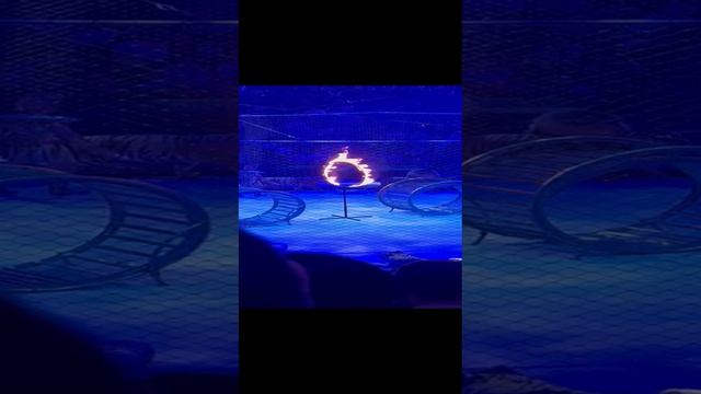 1000011423.mp4