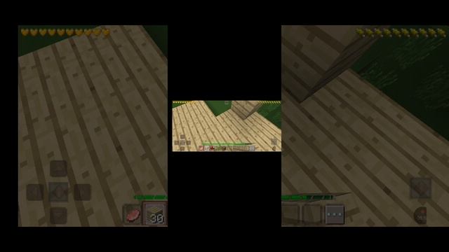 1000000455.mp4