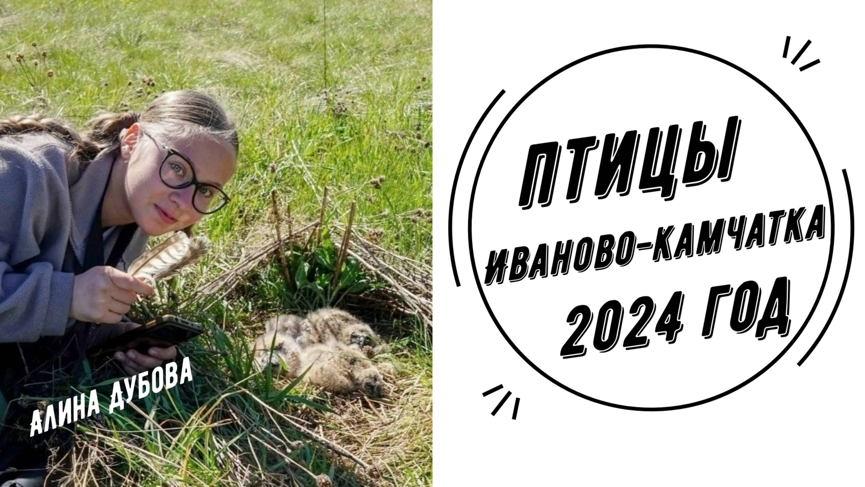 Птицы Камчатки 2024 г | Дубова Алина