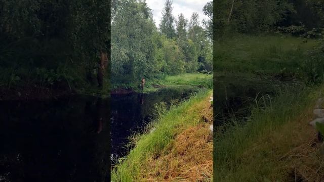 Как косить берег находясь в воде ?)