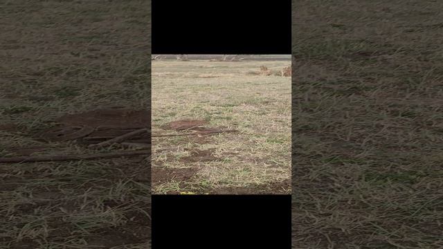 1000000066.mp4