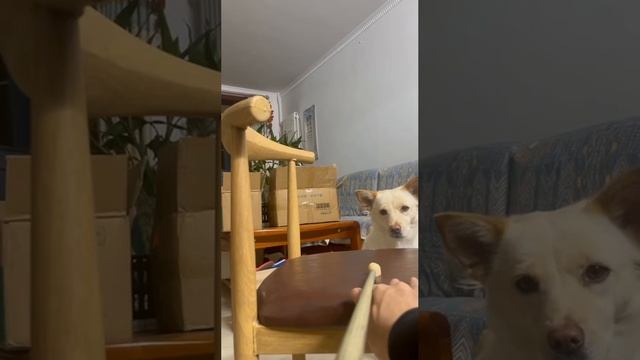 1000012953.mp4