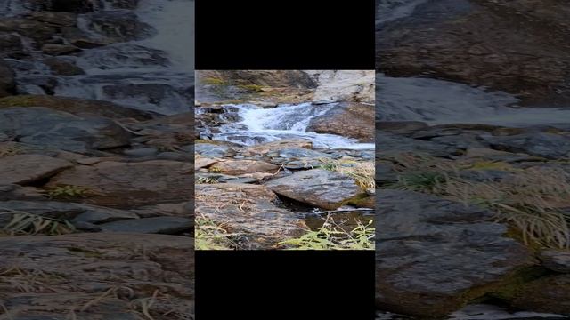 1000034667.mp4