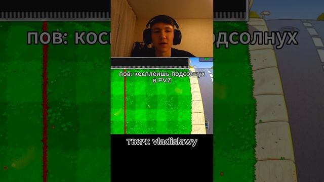 пов: косплеишь подсолнух в #pvzhybridmod #РастенияПротивЗомби #pvz #PlantsVsZombie