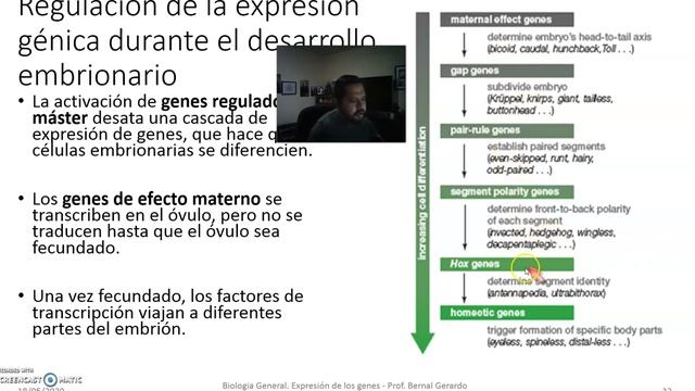 EXPRESION DE GENES 3 PROF BERNAL G GARRO MORA