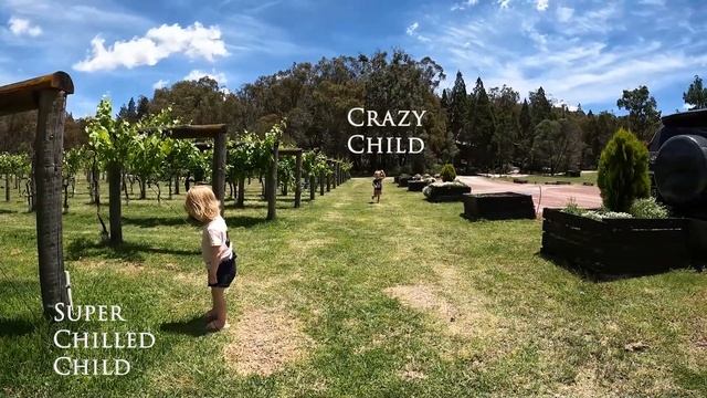 Foxbar Falls Campground Best QLD campground PET Friendly