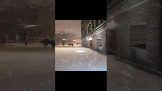 1000062591.mp4