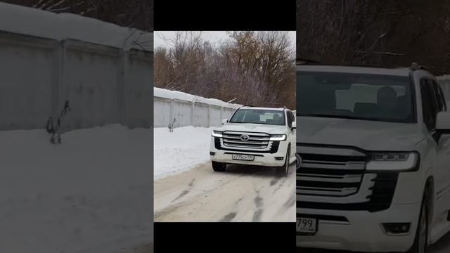 TOYOTA LAND CRUISER 300 #Toyota #landcruiser #toyotalandcruiser #toyotalandcruiser300 #тойота #лэн