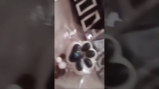 1000005373.mp4