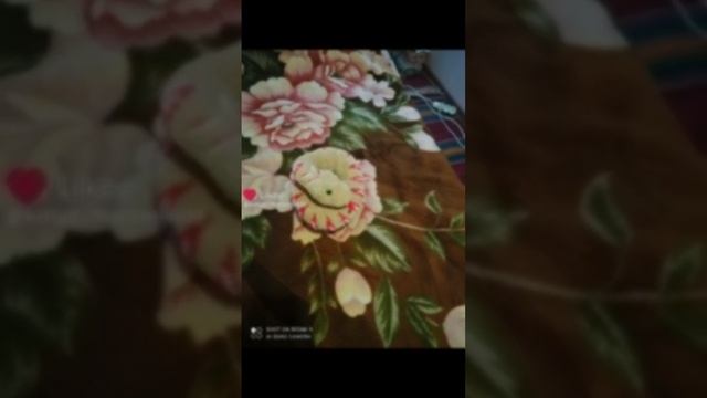 Like_7448626576300329284.mp4