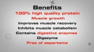 100% Predator Protein Gofit bg