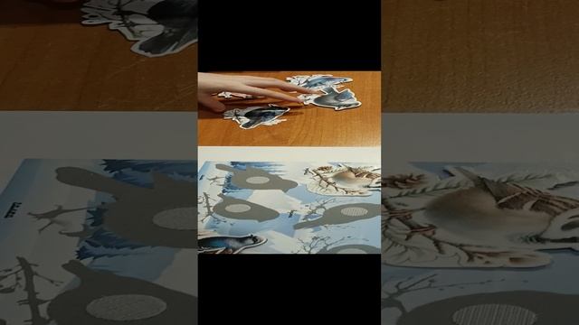 02205388-d8b9-47d6-a21a-ae1e39ee1e15-1_all_15029.mp4