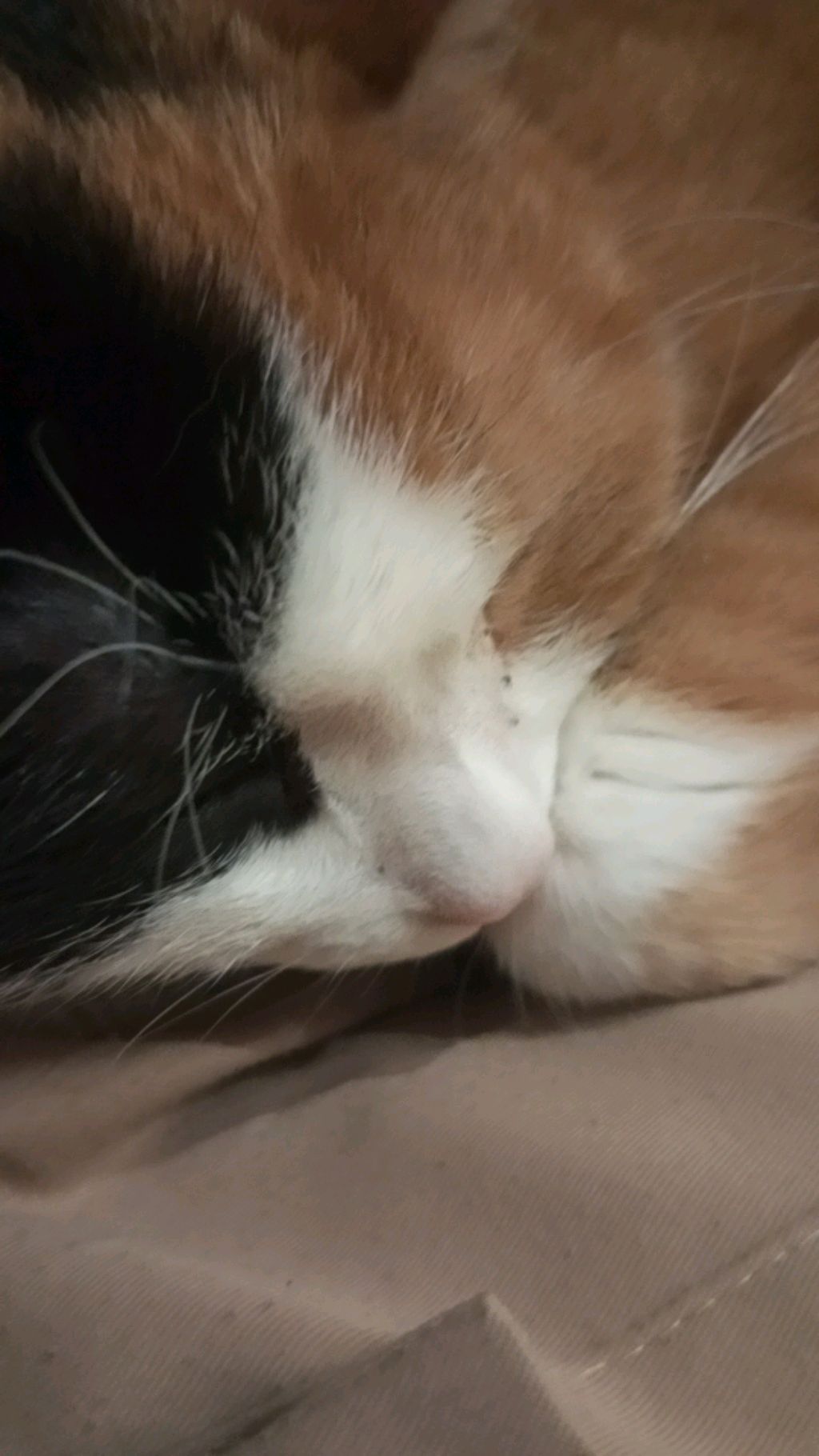 💚💚💚💚💚💚💚