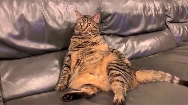Снежинки, схожие с мечтами!